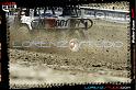 DSC04854LOORRS5