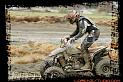 DSC00174quads