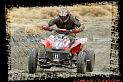 DSC00237quads