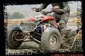 DSC00276quads