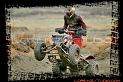 DSC00417quads