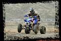 DSC00466quads