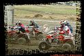 DSC01176quads