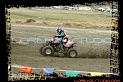 DSC01177quads