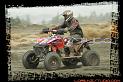 DSC01287quads