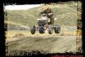 DSC01333quads