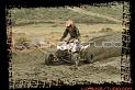 DSC01336quads