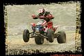 DSC01338quads