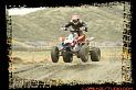 DSC01354quads