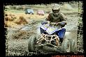 DSC01403quads