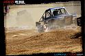 DSC08262loorrs1sunn