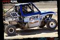 DSC08307loorrs1sunn