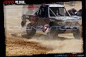 DSC08359loorrs1sunn