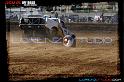 DSC05951loorrs1satn