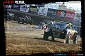 DSC06833loorrs1satn