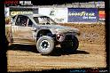 DSC07789loorrs1sunn