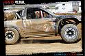 DSC07797loorrs1sunn