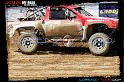 DSC07799loorrs1sunn