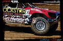 DSC07896loorrs1sunn